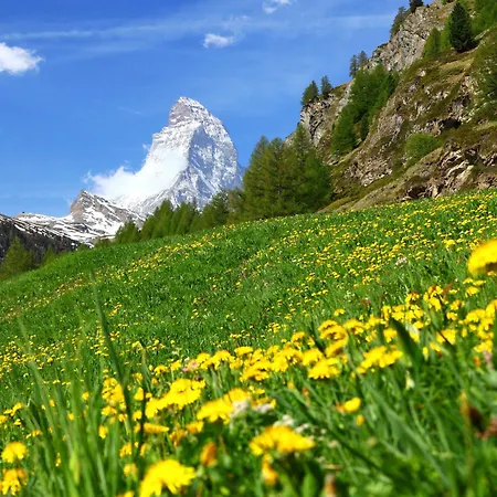 Viktoria Matterhorn By Interhome Apartment *